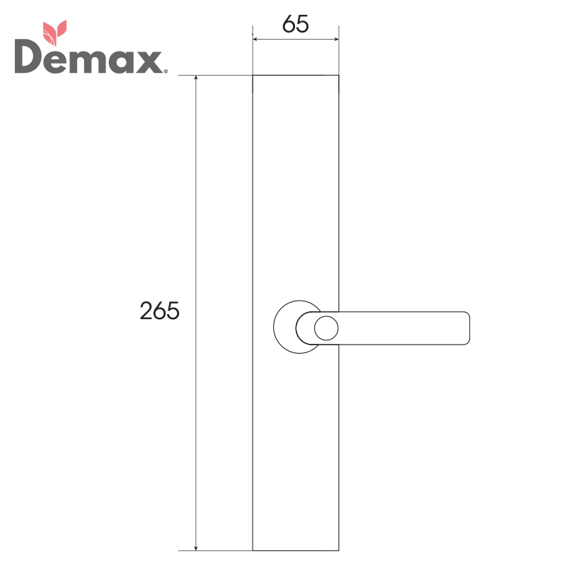Khóa điện tử, vân tay dùng cho đại sảnh, biệt thự Demax SL821